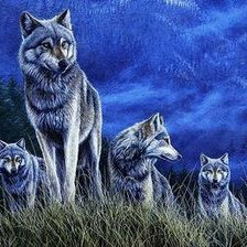 Схема вышивки «волк»