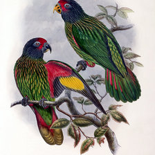 Схема вышивки «birds»