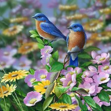 Схема вышивки «birds»