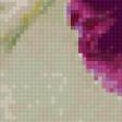 Предпросмотр схемы вышивки «orchids» (№151268)