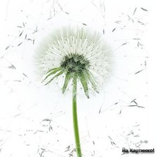 Схема вышивки «№151299»