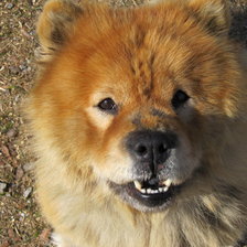 Схема вышивки «бакса»