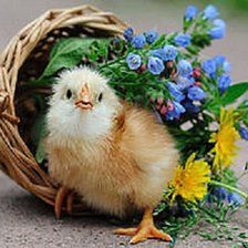 Схема вышивки «№151586»