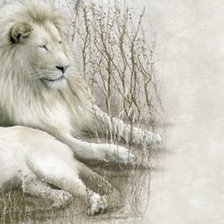 Схема вышивки «голова»