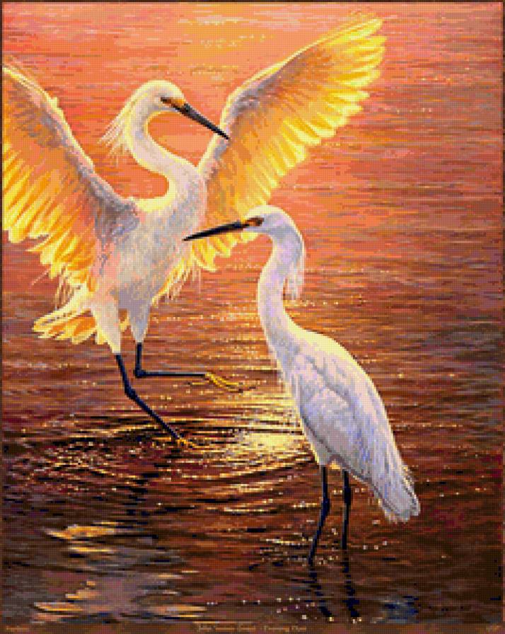 Танец журавлей - журавли, птицы, закат - предпросмотр