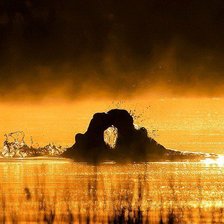 Схема вышивки «саванна»