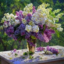 Схема вышивки «№151787»