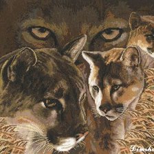 Схема вышивки «пумы»