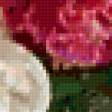 Предпросмотр схемы вышивки «Пионы с вишней» (№151906)
