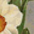Предпросмотр схемы вышивки «flowers» (№151920)