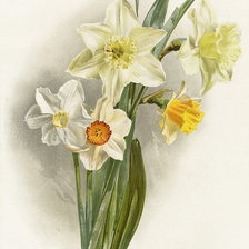 Схема вышивки «flowers»