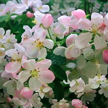 Схема вышивки «spring»