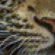 Предпросмотр схемы вышивки «Леопард» (№152011)