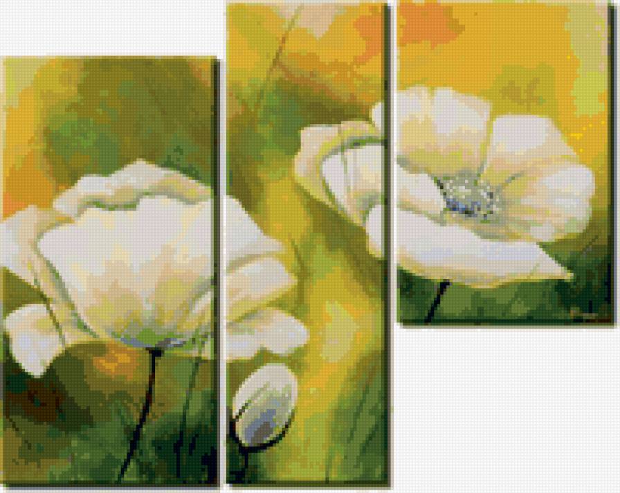 Белые маки - мак, цветы, триптих - предпросмотр