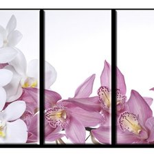 Схема вышивки «3»