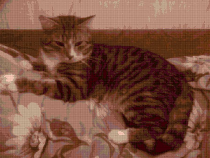 Василий - кот - предпросмотр