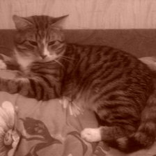 Схема вышивки «Василий»