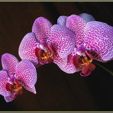 Схема вышивки «5»