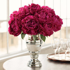 Схема вышивки «Пионы»