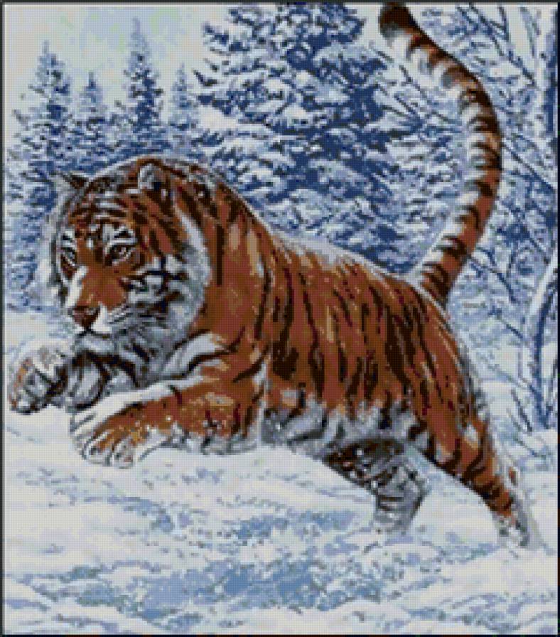 Большие кошки - зима, снег, кот, тигр, лес - предпросмотр