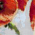 Предпросмотр схемы вышивки «Смородина и маки» (№152670)