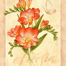 Схема вышивки «Цветы и бабочки»