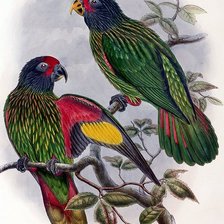 Схема вышивки «№152776»