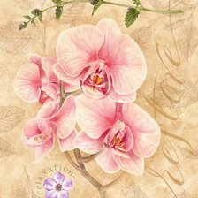 Схема вышивки «орхидеи»