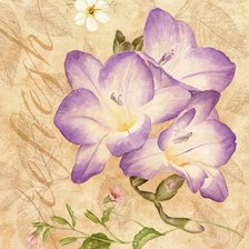 Схема вышивки «Нежные лепестки»