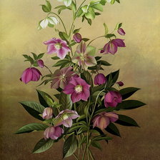 Схема вышивки «flowers»