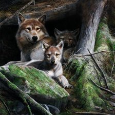 Схема вышивки «in the forest»