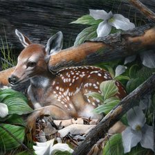 Схема вышивки «in the forest»