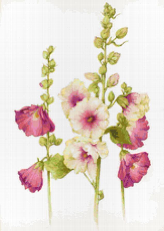 flowers - предпросмотр