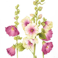 Схема вышивки «flowers»