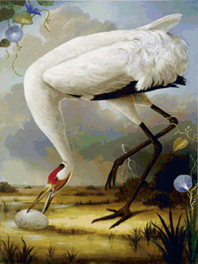 modern - предпросмотр