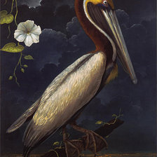 Схема вышивки «modern»