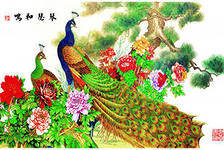 Схема вышивки «павлины»