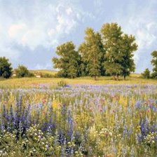 Схема вышивки «Разнотравье»