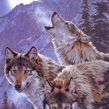 Схема вышивки «волки»