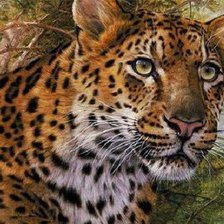 Схема вышивки «хищник»