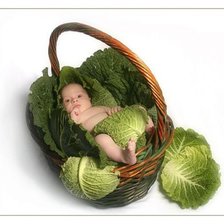 Схема вышивки «в капусте»