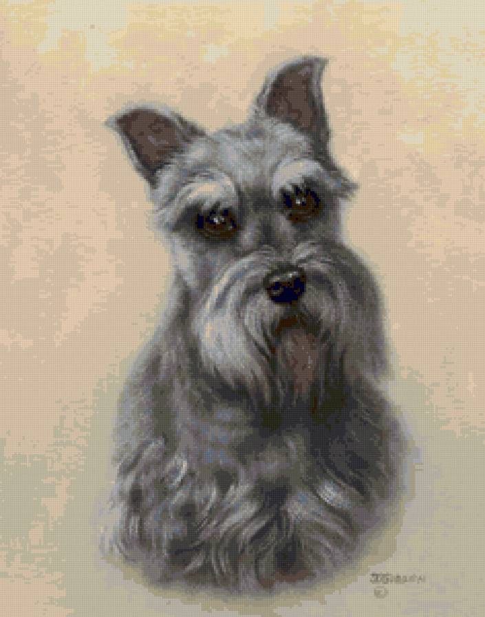 наши братья - животные, картина - предпросмотр