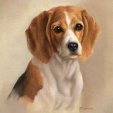 Схема вышивки «мой рич»