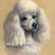 Схема вышивки «артемон»