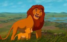 Схема вышивки «король лев»