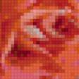 Предпросмотр схемы вышивки «Роза на стекле» (№153694)