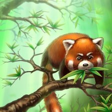 Схема вышивки «Енот»