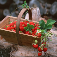 Схема вышивки «серия "Стиль-ягоды"»