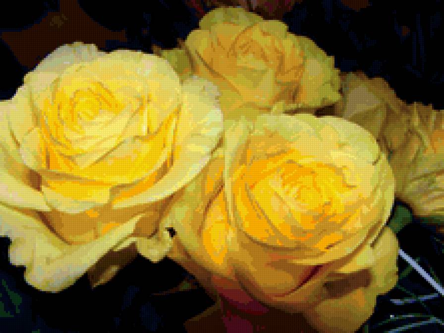 №153852 - цветы, розы, желтые - предпросмотр