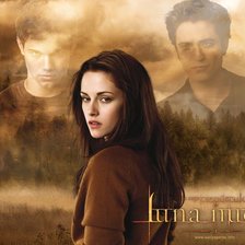 Схема вышивки «сумерки»